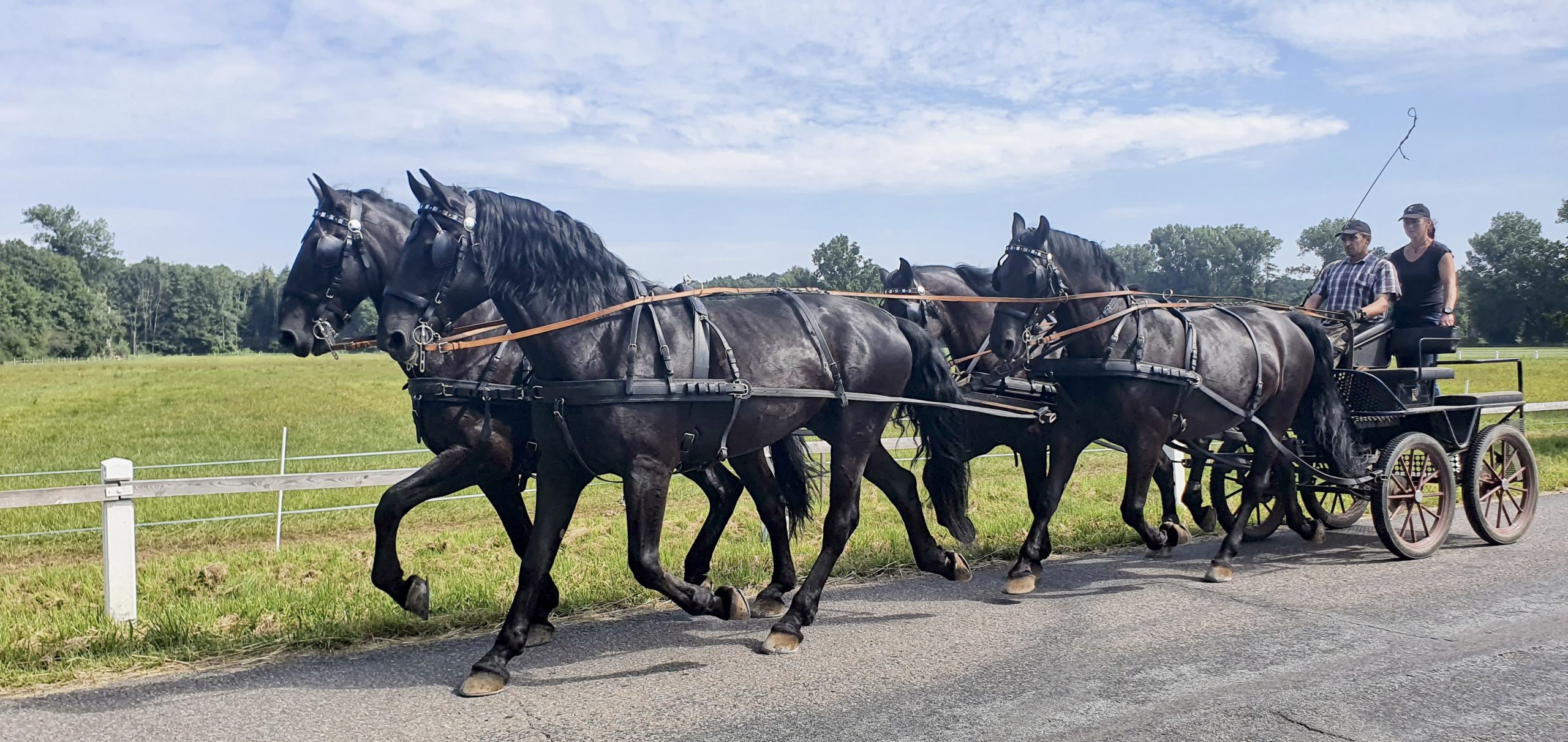 Starokladrubský vraník